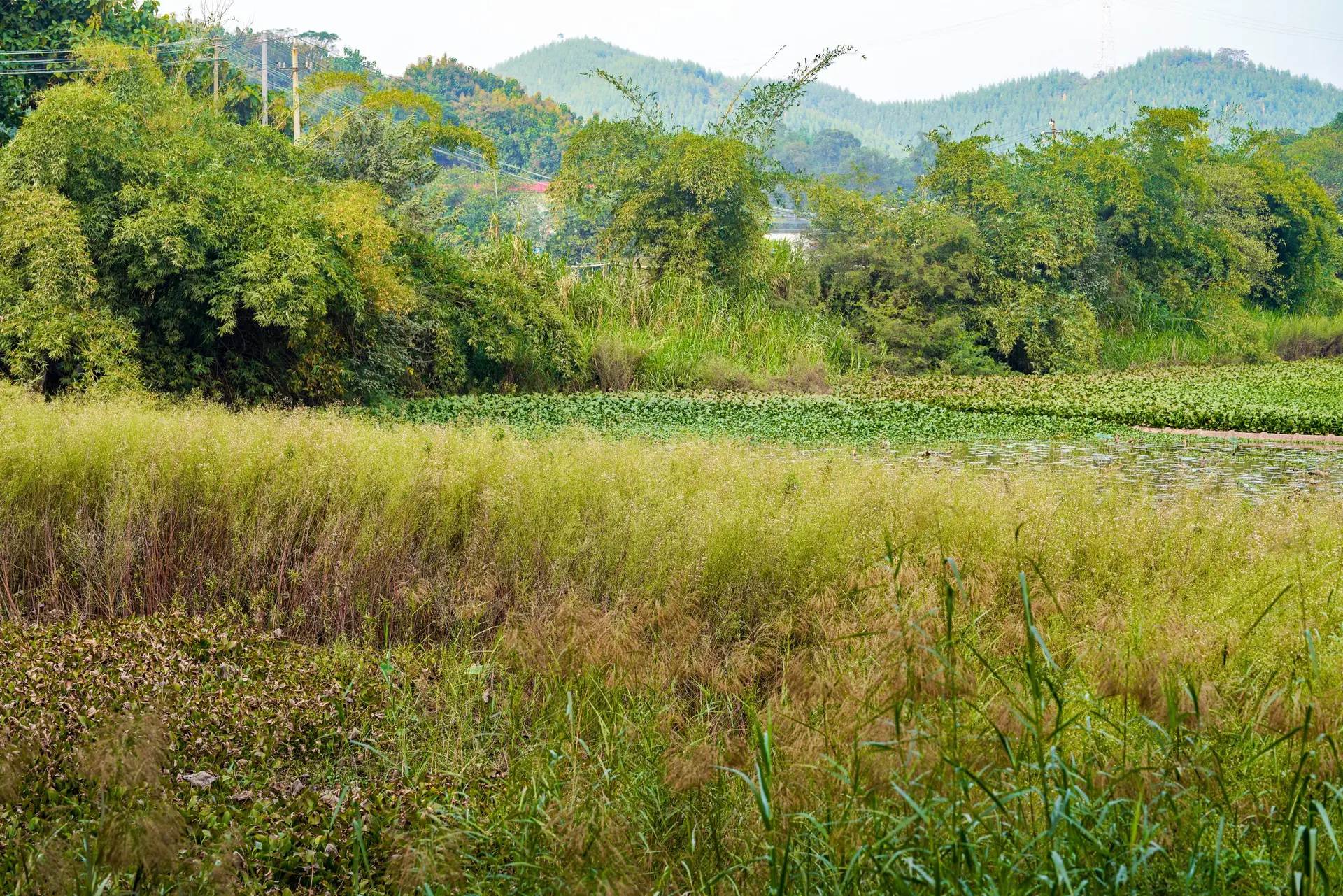 Everything You Need to Know About Wetting Agents